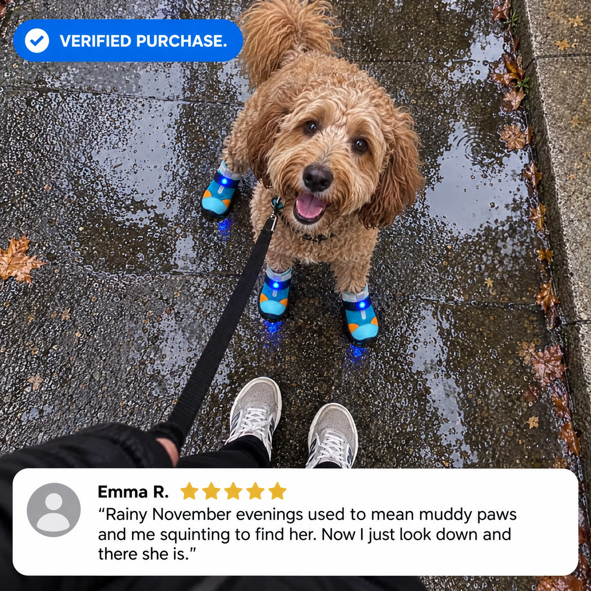 OreLuma LED Light-Up Dog Boots