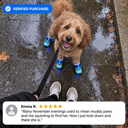 OreLuma LED Light-Up Dog Boots