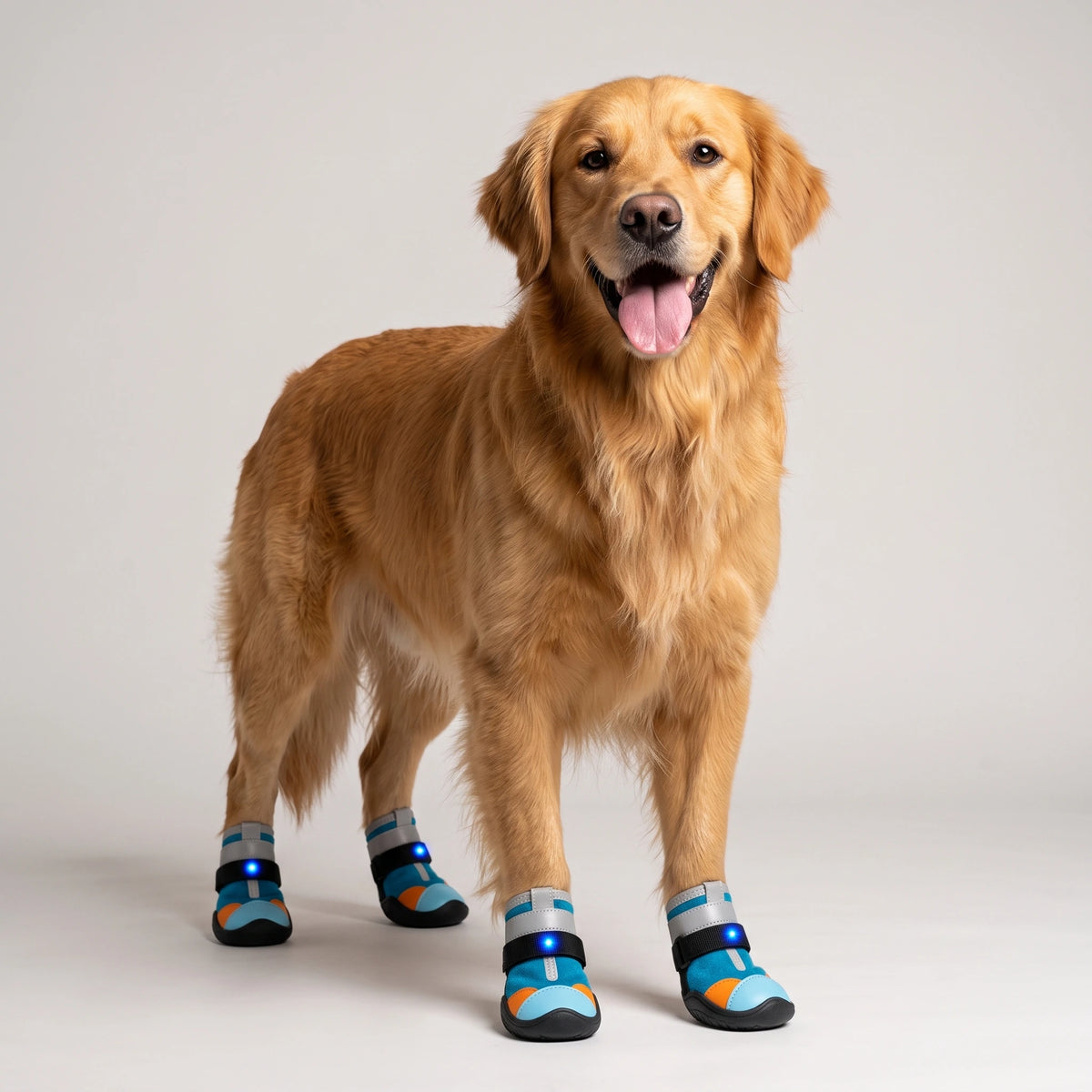 OreLuma LED Light-Up Dog Boots